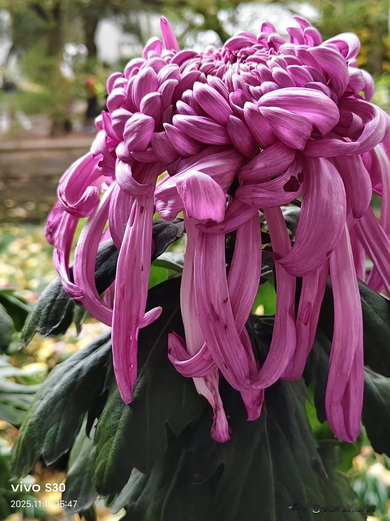 家乡都有好风光