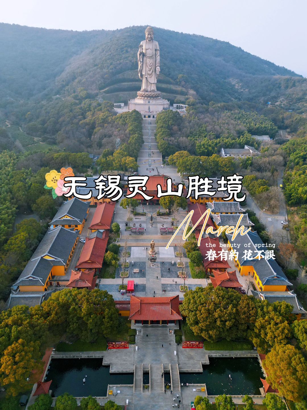 无锡春季限定🌸接下来的灵山将美成一幅油画