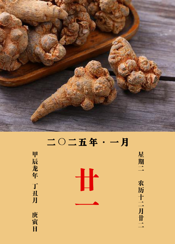 每天一味中草药  三七，味甘，微苦，性温，归肝、胃经。主治：三七为散瘀定痛要药，