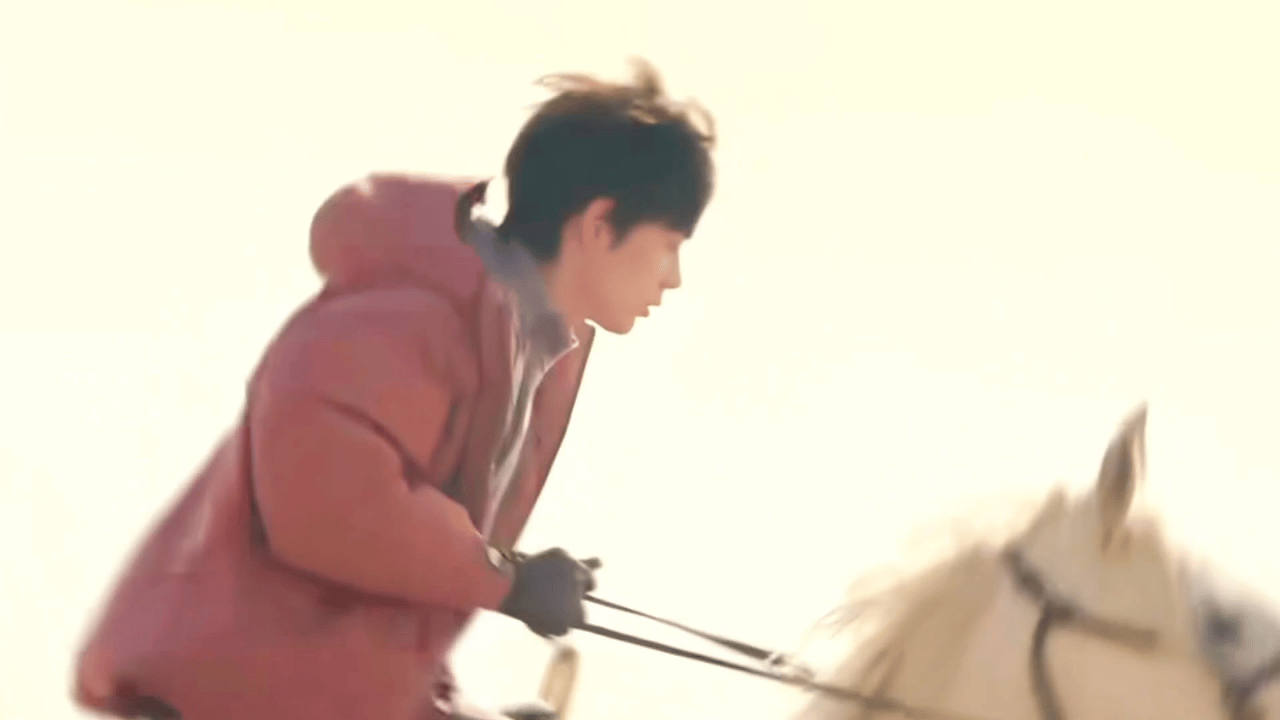 丁真丁真亮相马年春晚开场表演 ✨春晚节目单 马年纳福，赛马王子丁真珍珠首登央视总