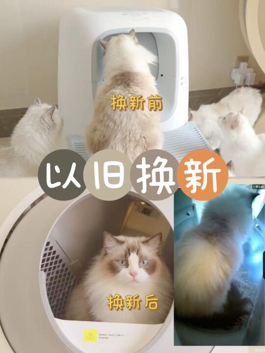 有陪罢工了💔…以旧换新转战catlink啦