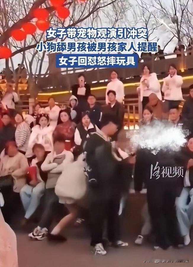 女子带宠物观演引起冲突怒摔男孩玩具，这一幕迅速引爆了现场的情绪，也在网络上掀起了
