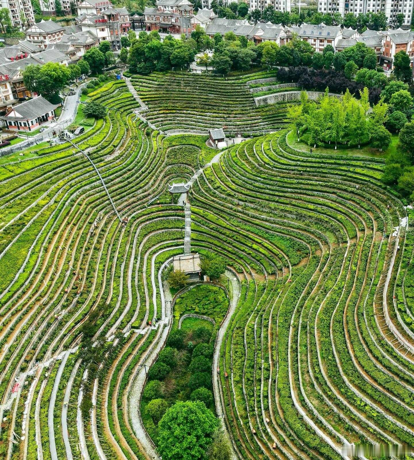 生活手记大地指纹音乐会周深 好奇歌手  在哪候场？从哪走上舞台？ ​​​