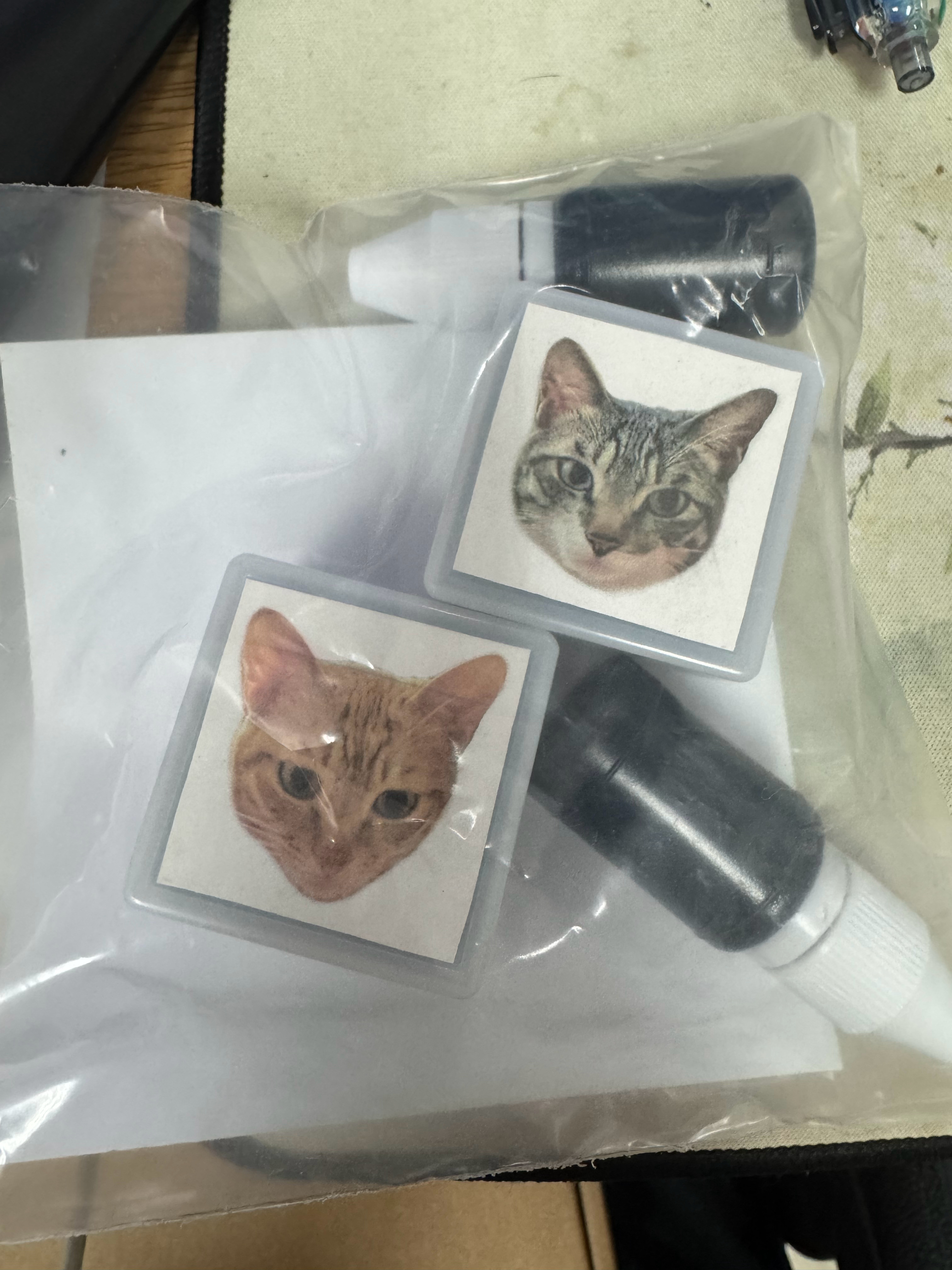 师弟师妹送我的毕业礼物：按我收养大橘大狸的脸做的印章和小摆件可以放假拿回家给大橘
