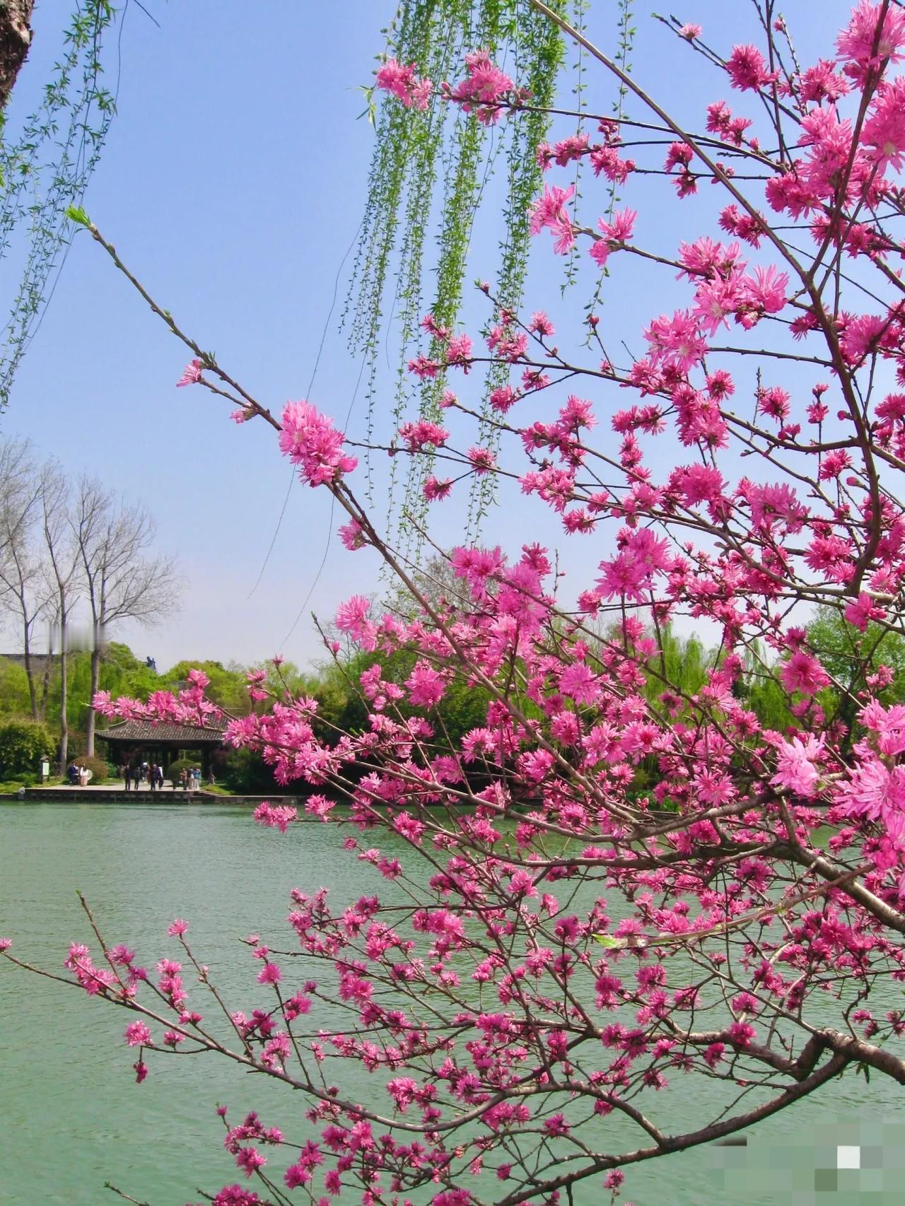天呐！早知道您是对联圈大神，多怪的上联您都能一下子对上，太牛啦！我刚玩对联，今儿