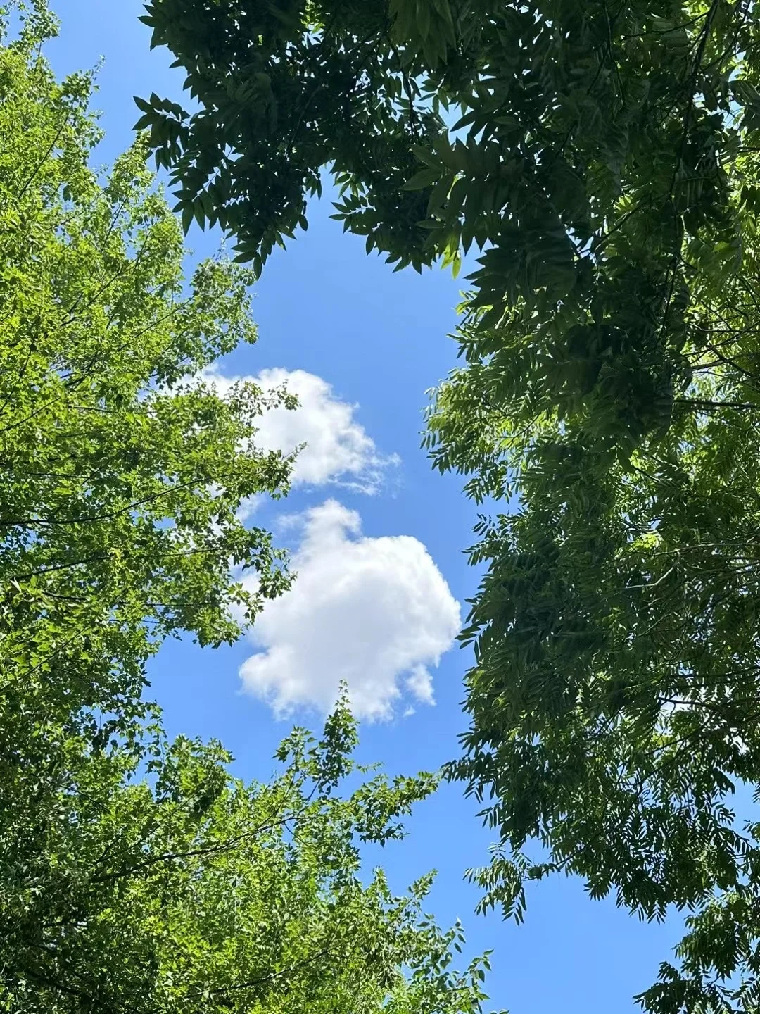 每一帧都是热爱⛅️