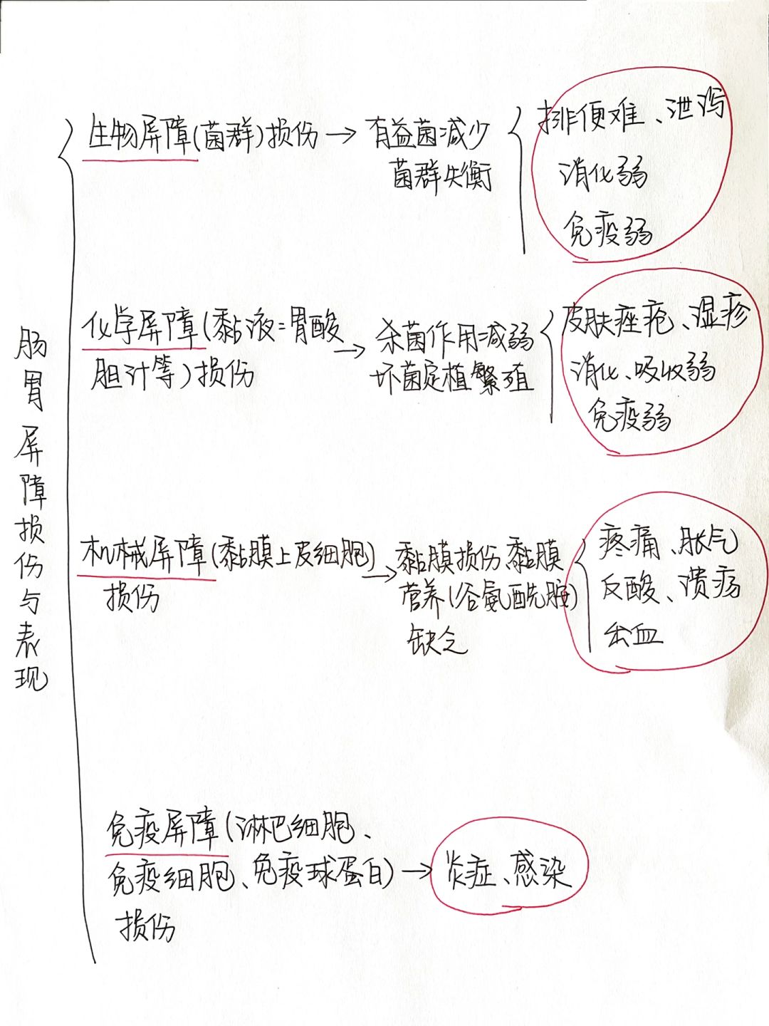烧心、腹部痛胀|一张图搞懂肠胃问题根因