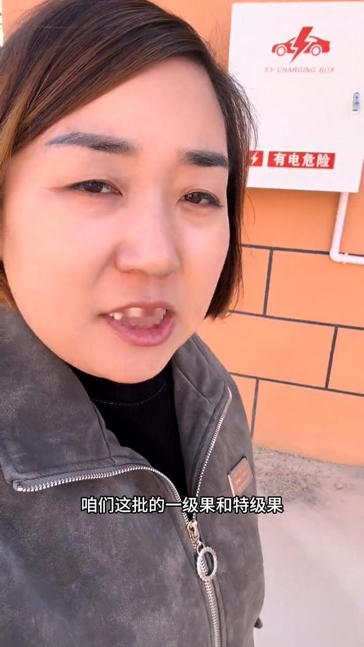 一级果筛选出来了，特级个头也大。
给大家看看这批的一级果和特级果是什么样的品质。