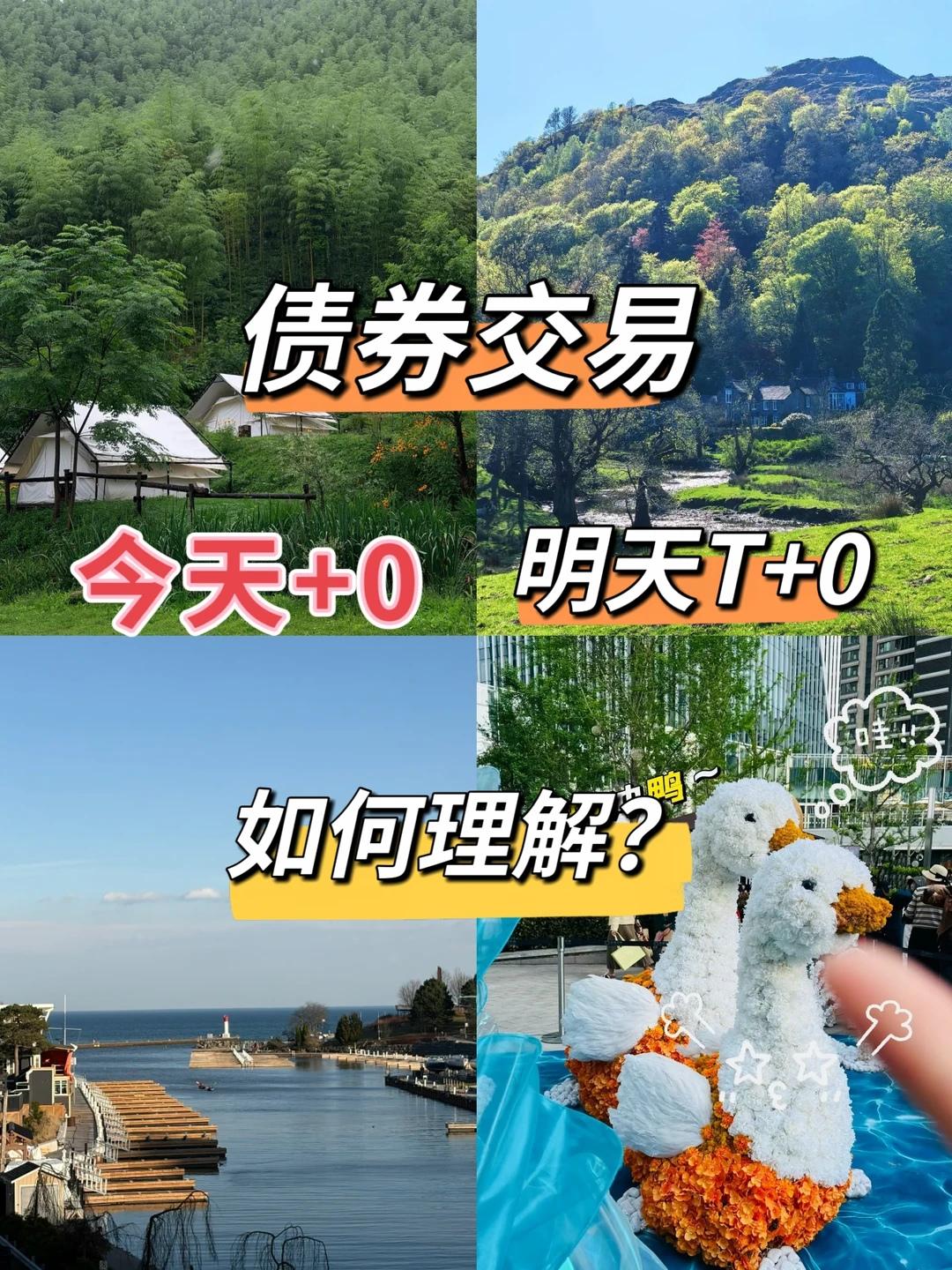债券交易，明天+0结算，如何理解？