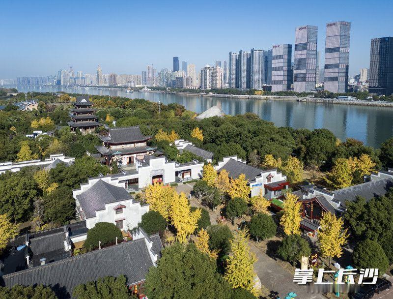 读《近思录》之2.89.2

尊高年，所以长其长；慈孤弱，所以幼其幼。圣，其合德