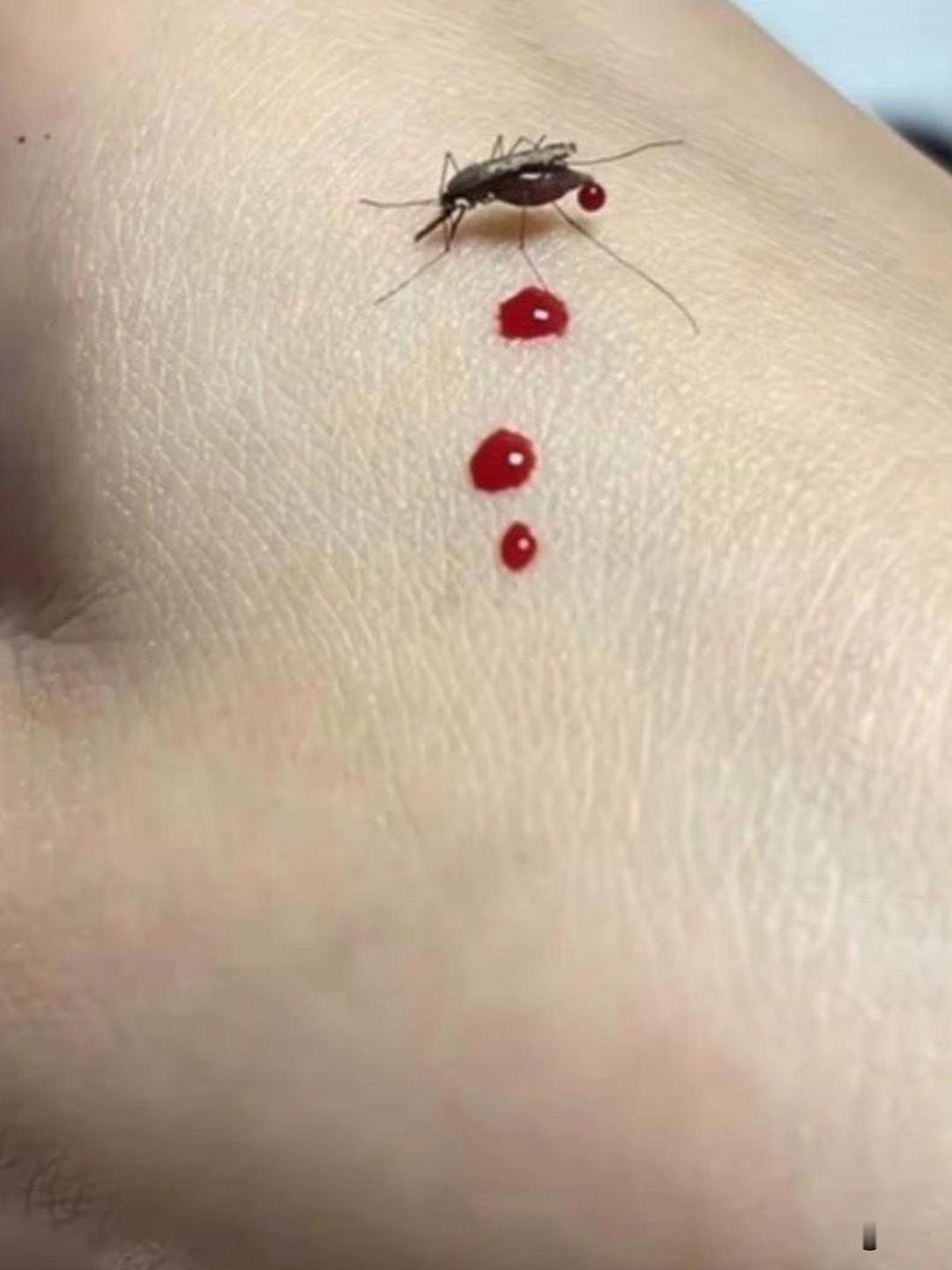 为什么蚊虫专叮某些人？
生活里真的有很奇妙的现象，每次和亲朋好友聚在一起，差别一
