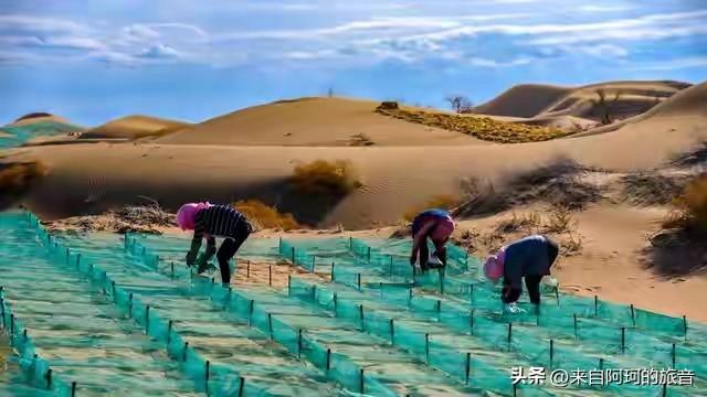 西方媒体盯着中国西北的治沙工程，翻来覆去就一句话，沙漠变绿洲会破坏生态平衡。这话