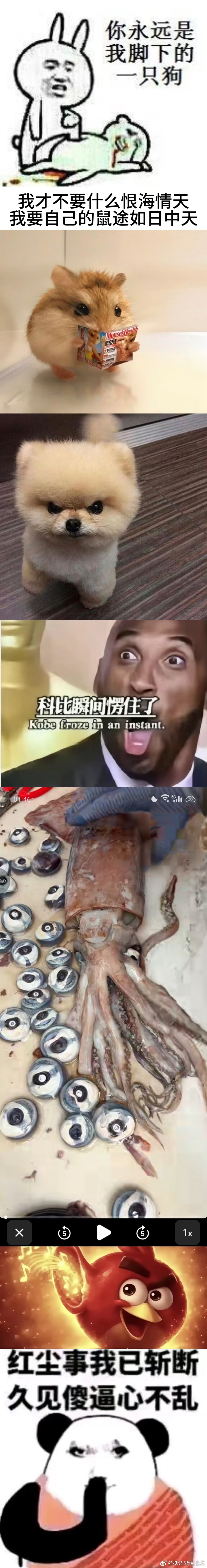 【】半夜刷到的dy鱿鱼眼珠子合集 