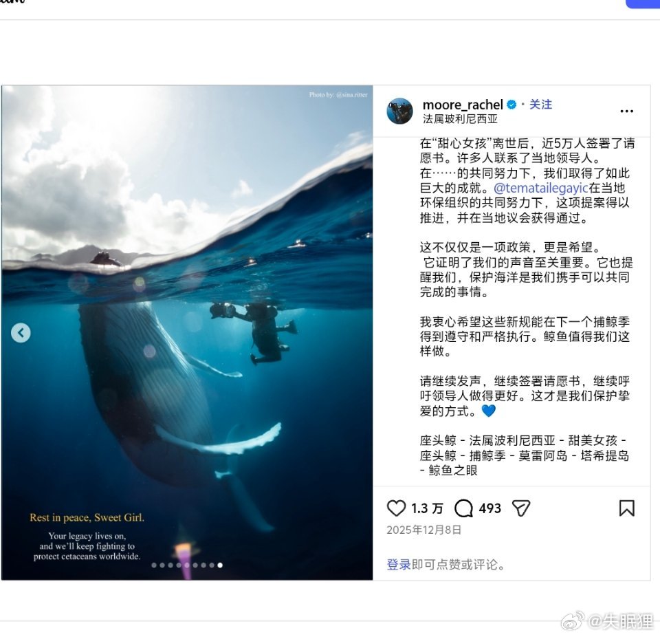 这只眼睛中有行星的幼年鲸鱼“甜心女孩”不幸被塔希提岛的超速渡轮撞死之后一年，法属