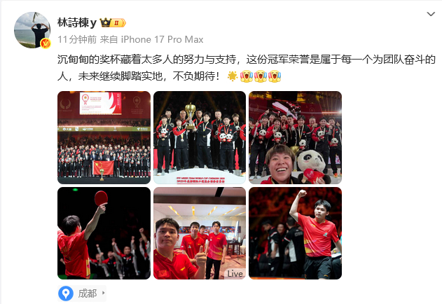 林诗栋总结成都混团世界杯林诗栋说继续脚踏实地不负期待 林诗栋成都混团世界杯夺冠之