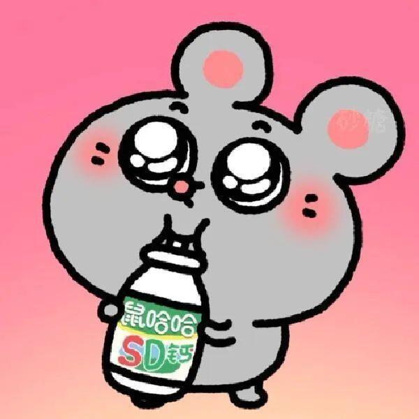 鼠鼠表情包🐭 