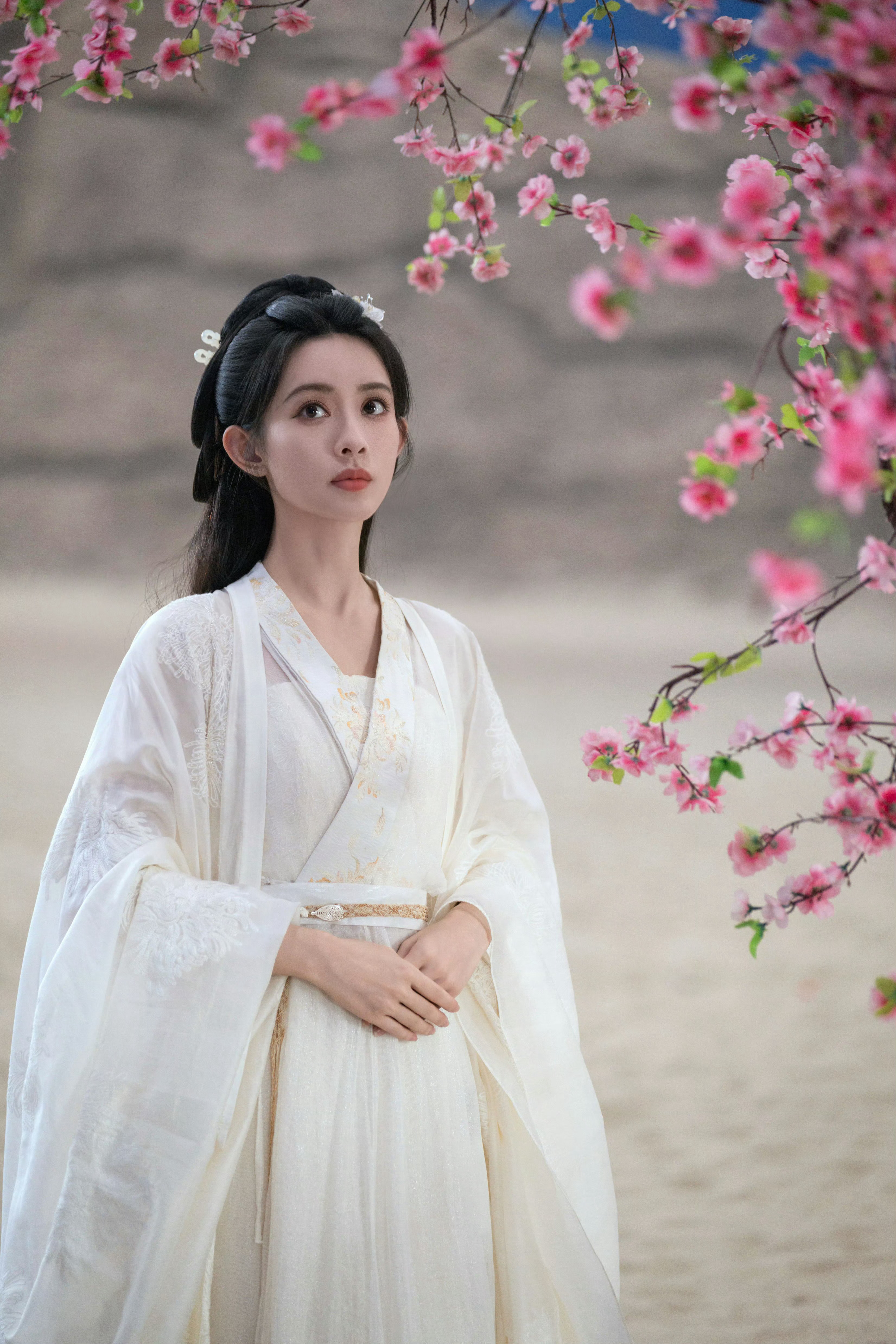 孟子义 《桃花映江山》姜桃花剧照-白衣大结局时的造型 ​​​