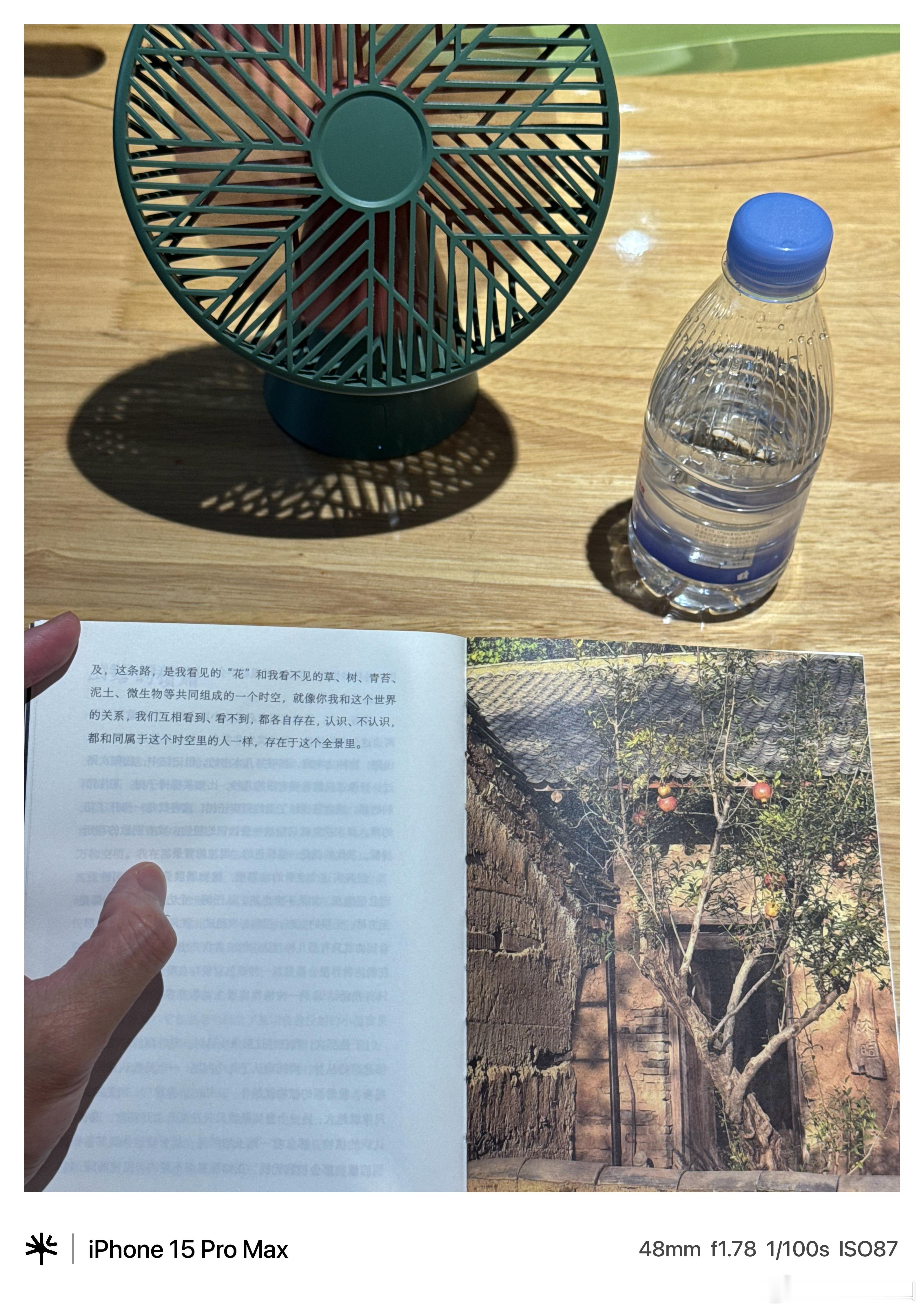 投行泰山的2026年百本纸质书阅读计划 No.055《借山十年》（张二东 著） 
