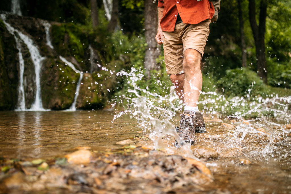 穿过心智的帷幕，跃入生命的河流