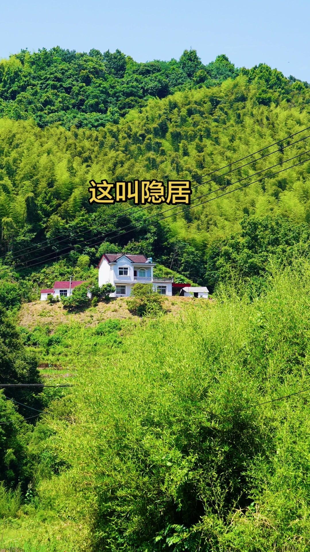 在藏在大山深处的别墅里醒来，推开窗就是连片的竹海🌳，空气里全是草木的清香气。晨