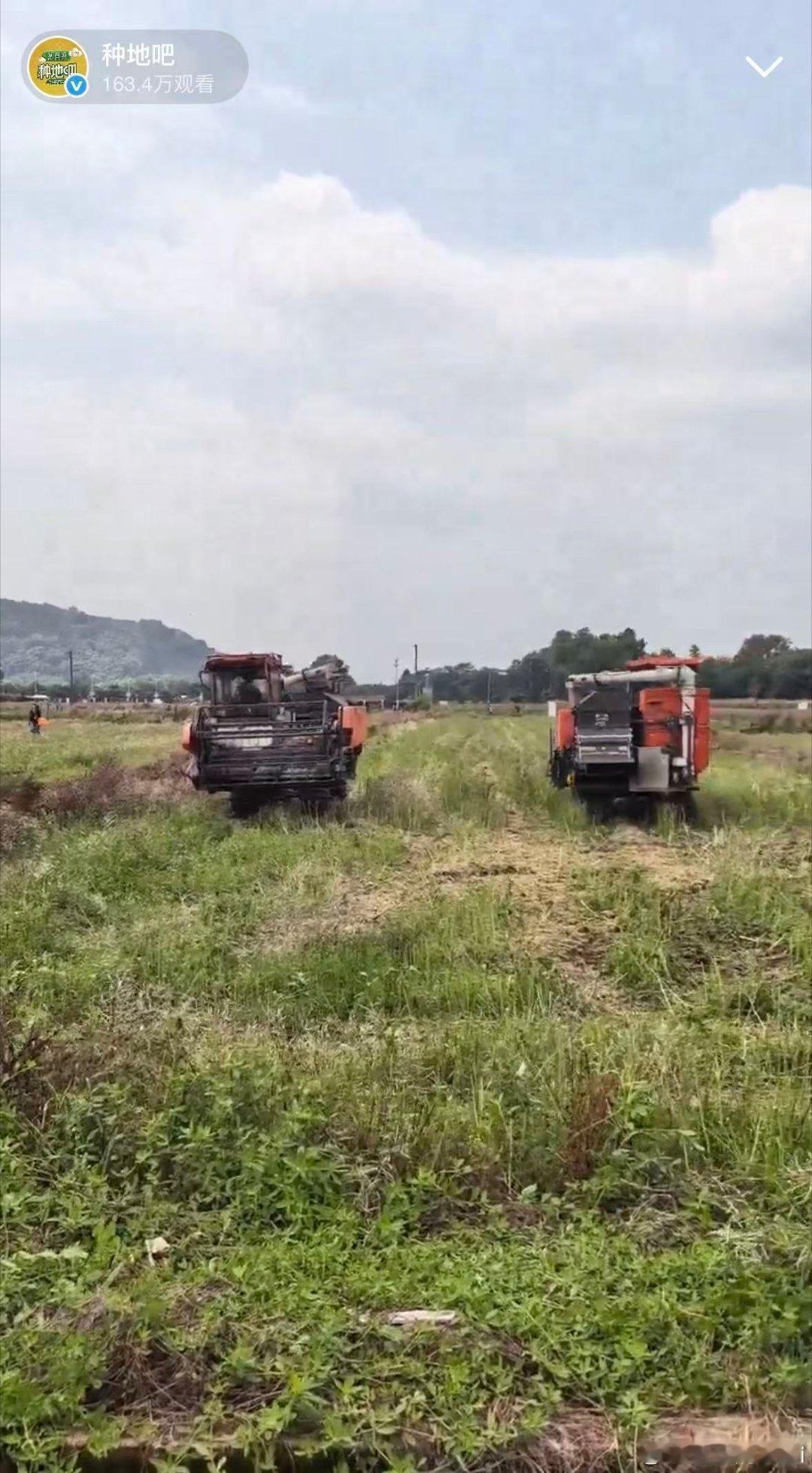 种地吧打卡直播直播间热度拉满，追直播的人都被田园生活打动。晨起耕耘，随心度日，这