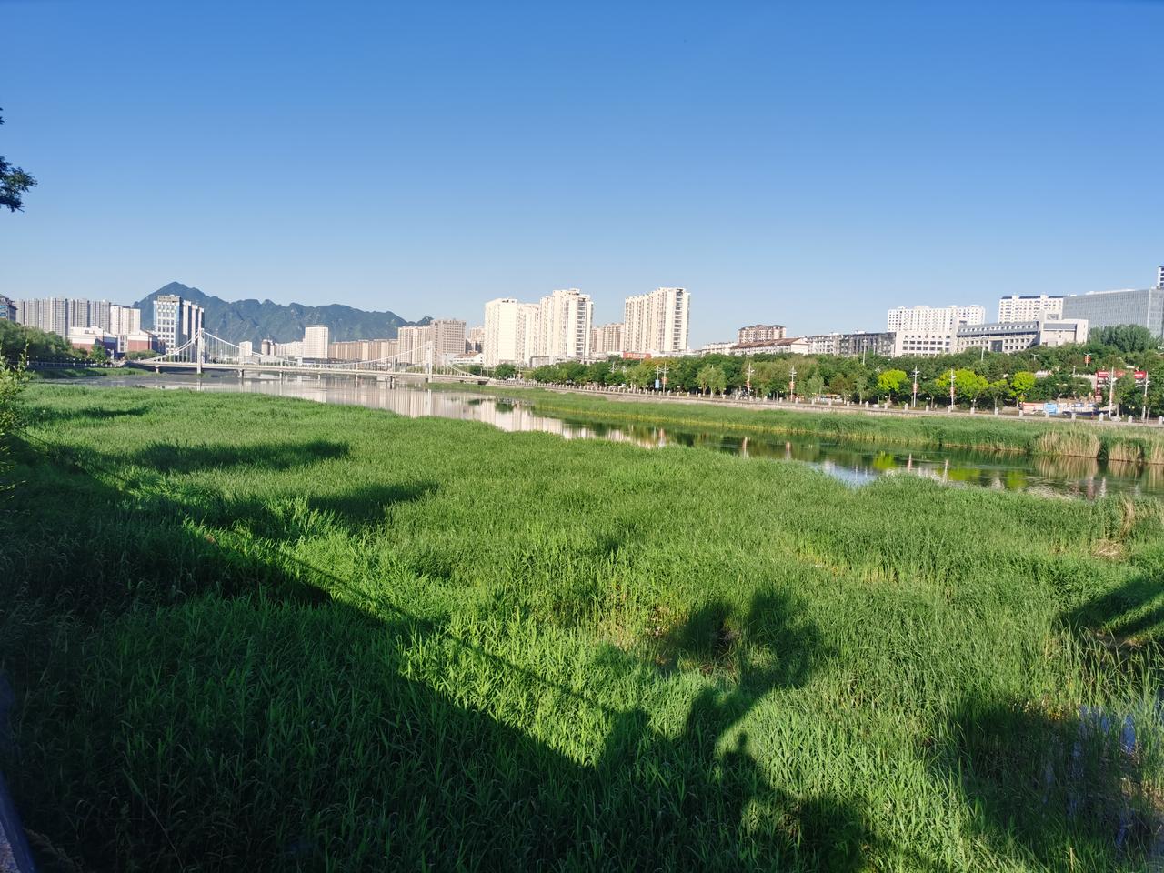 越忙越需要运动，压力越大越需要运动，对家人对自己越有担当越需要运动，运动之后是流