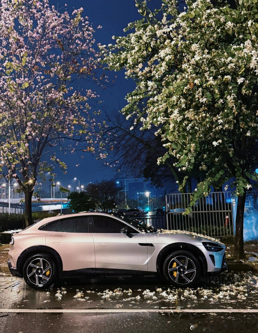 我觉得怪好看的！ 