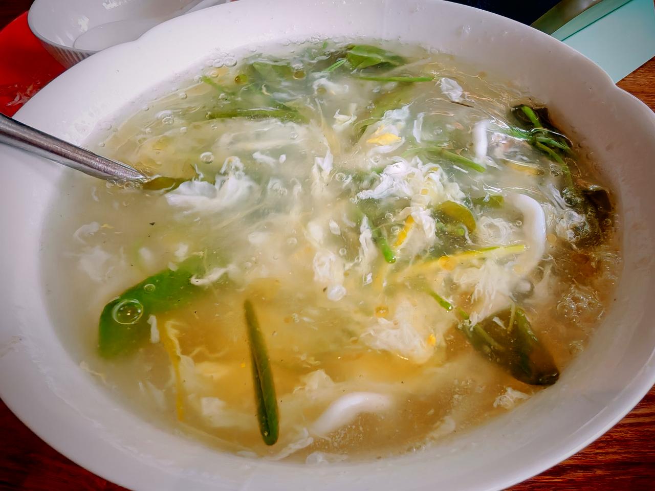 春日生活打卡季