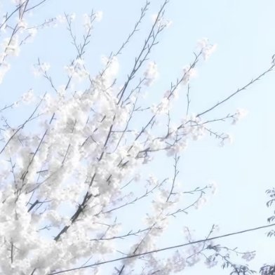 每日一善  🍀每日一善 🍀阳光信用生活中，无论遇到怎样的失意落寞，怎样的坎坷