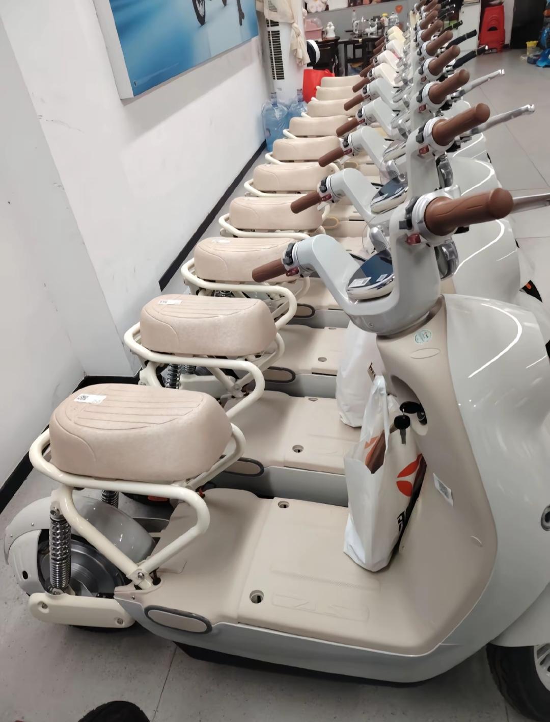 这电动啊咋样！