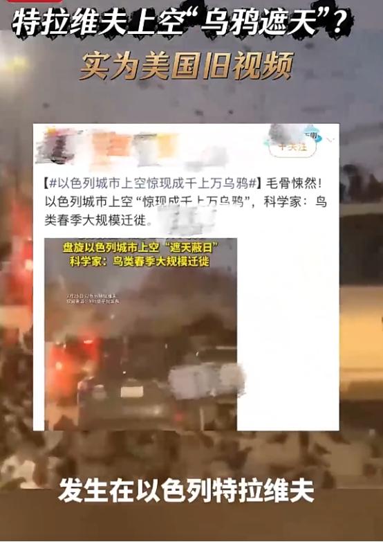 特拉维夫乌鸦遮天？真相被扒，根本不是最近拍的，早在2023年2月份就已经出现过了