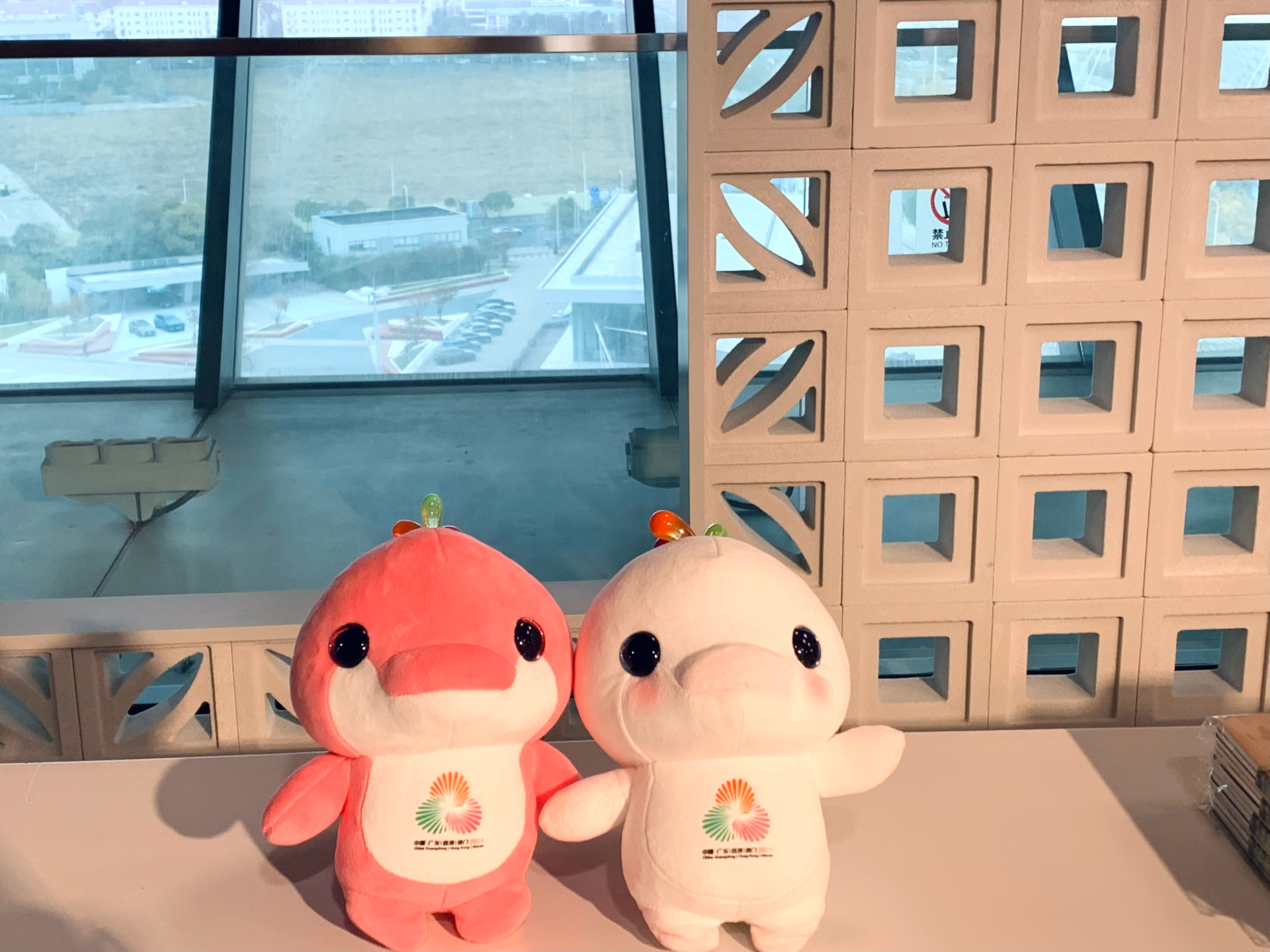 在中华艺术宫偶遇了大湾鸡 …  上海·中华艺术宫