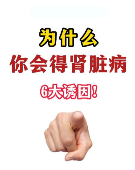 为什么肾脏会悄悄受损？六大常见诱因逐一解析