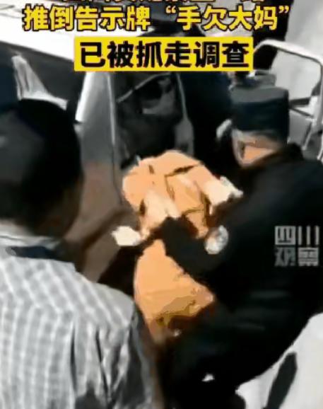 大妈进景区就像开了“拆牌模式”，一路走一路把路边警示牌推倒，嘴里还吐槽得理直气壮