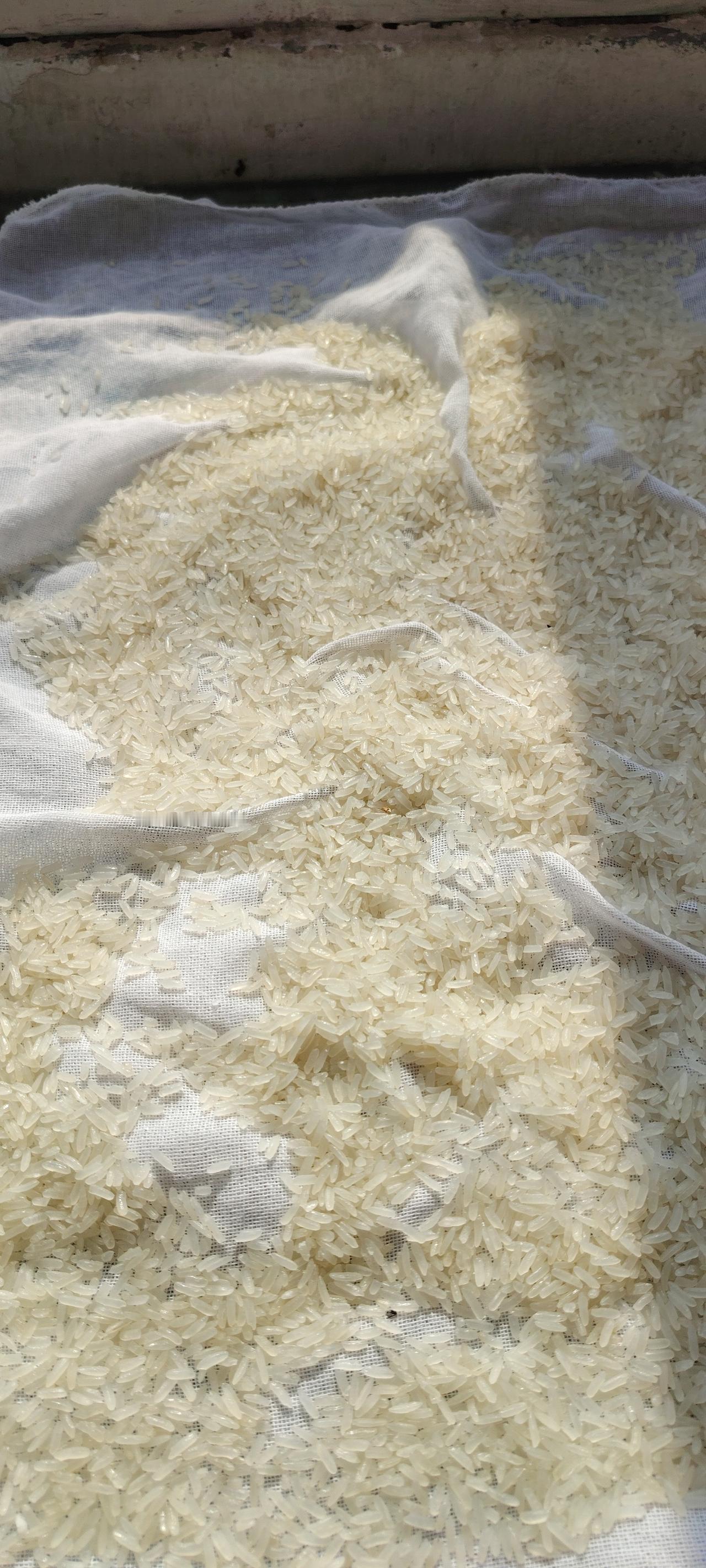 好吃佬的故事。前几天下雪，乘机做阴米，又连续晴了两天，初形成的阴米油光发亮，用手