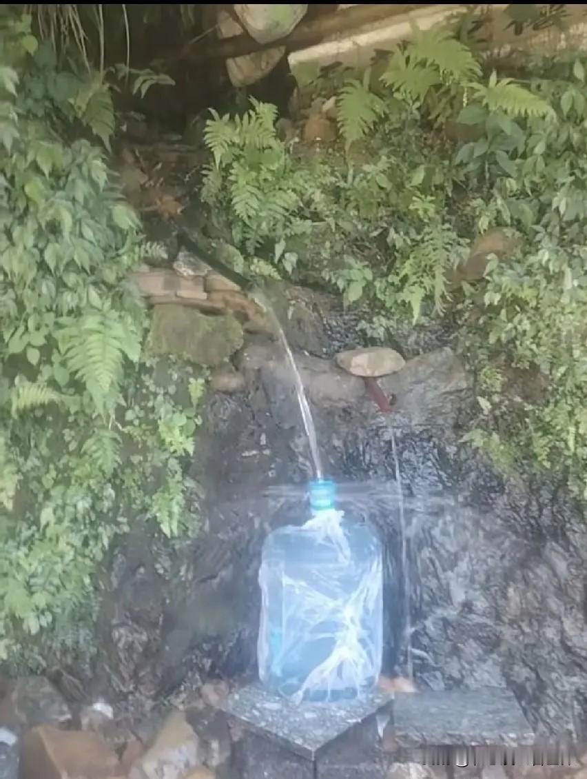 谁也没想到，村里人人免费共享的山泉水，竟被几个年轻小伙深夜偷接倒卖赚钱。
本属于
