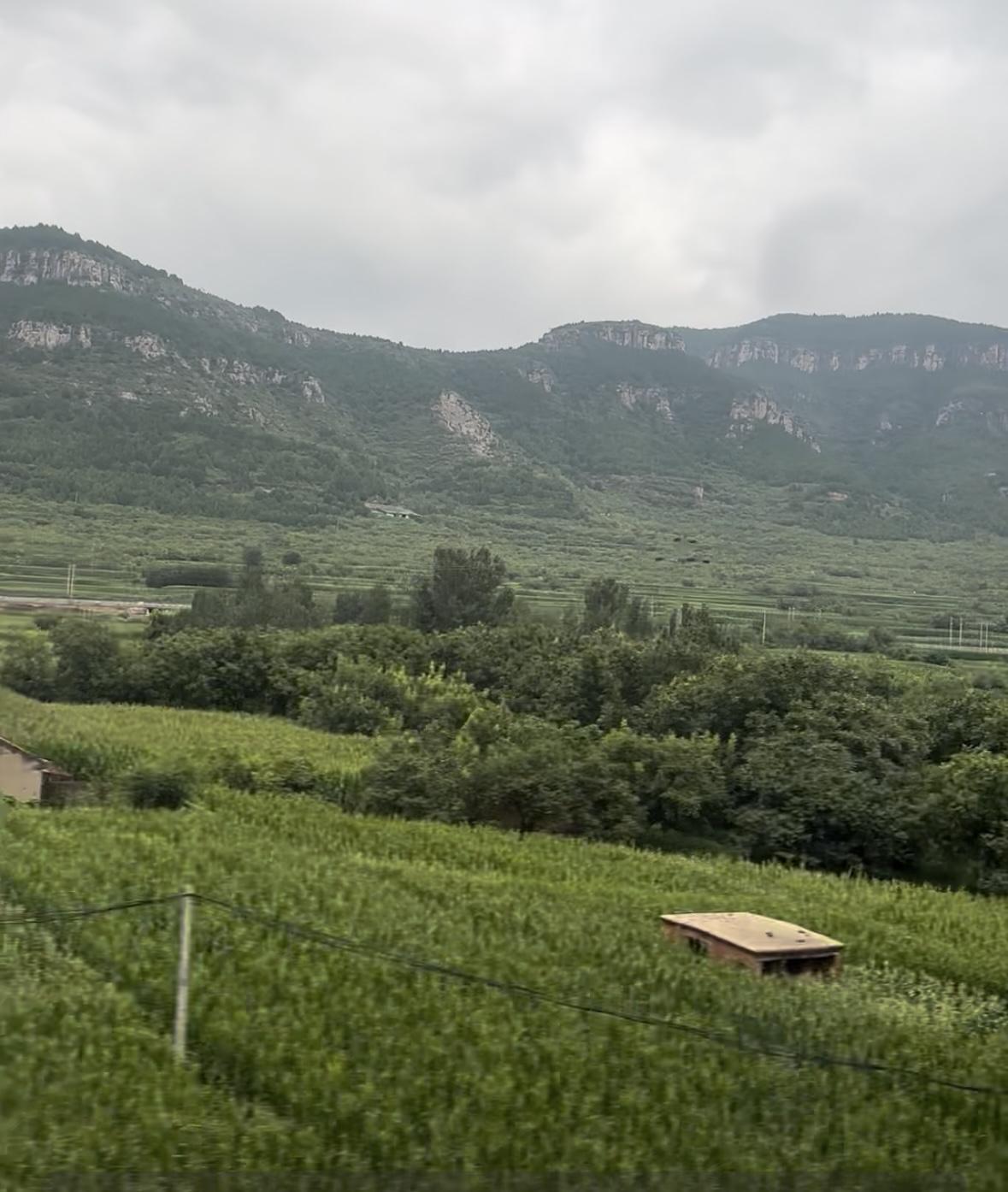 清明节•追思

又是清明雨湿衣，荒烟漠漠草萋萋；
纸钱轻逐春风散，泪滴残红和土泥