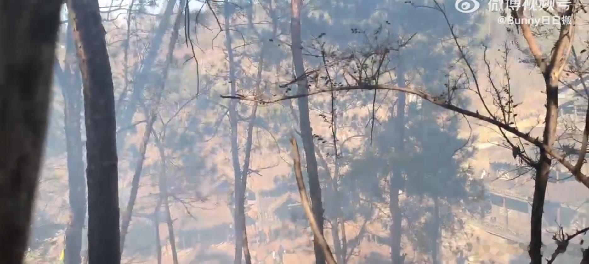 南部档案剧组烟熏代拍 代拍乱象，剧组正常拍摄被搅乱，观众也难看到高质量作品，得不