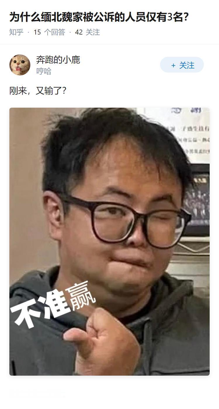 为什么缅北魏家被公诉的人员仅有3名？