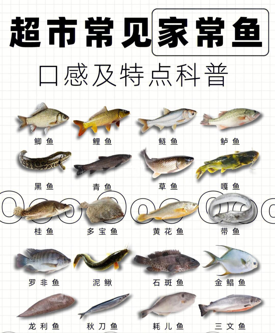 🐟超市买鱼不懵圈！家常鱼百科来了