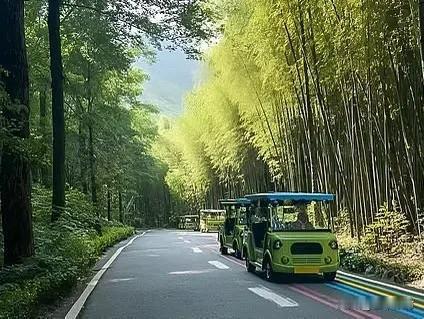 支持的理由

1. 节省体力
很多景区面积大、景点分散，老人、小孩、体力差的游客