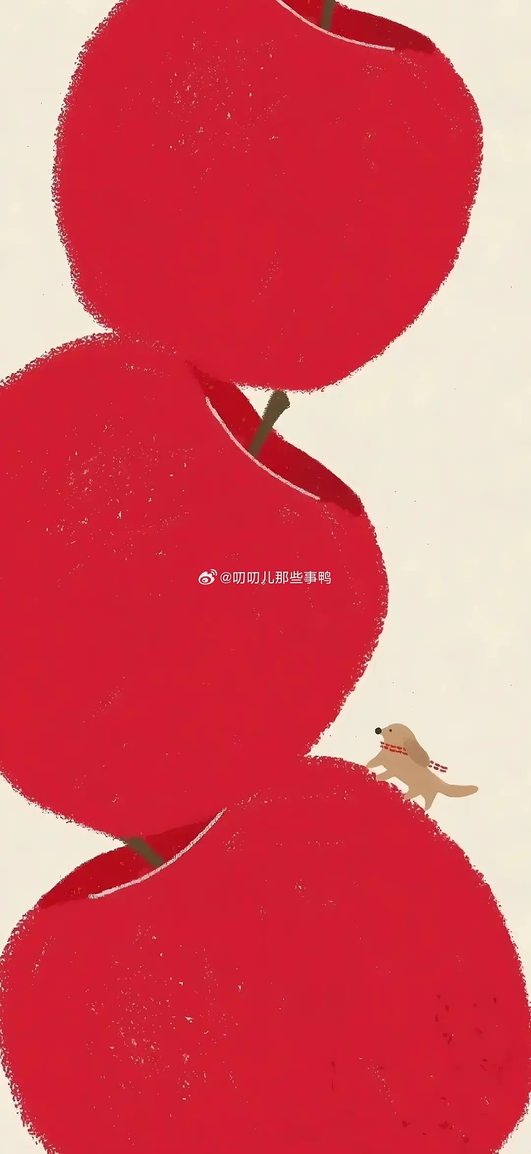 今日🈚投稿，大家早早早鸭～