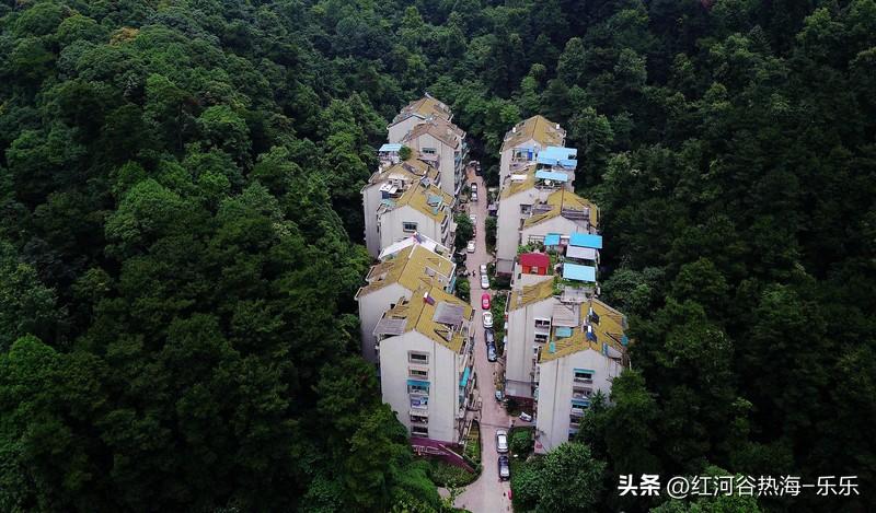 过去40多年，单位分房，房改房，集资房，安置房，拆迁房，货币分房，公积，住房补贴