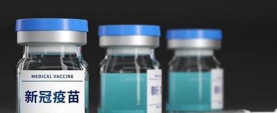 一针新冠疫苗都没打的人，未来会是怎样的存在？

疫情最严峻的阶段，疫苗接种是全社