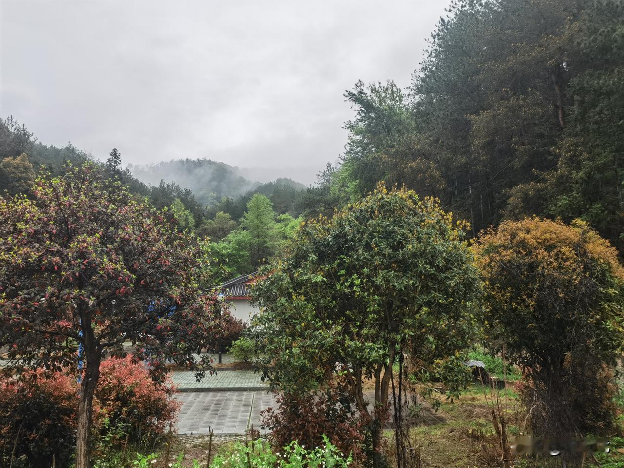 特朗普极有可能成为美国最后一个总统。
历来，美国策略是把其他国家搞成分裂，且屡屡