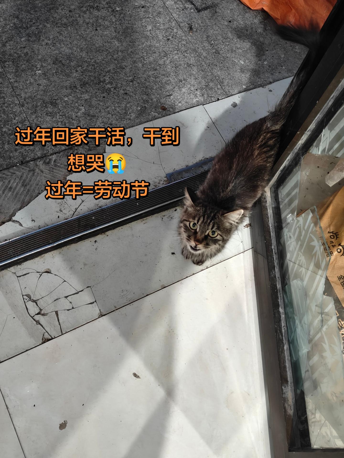 过年等于劳动节