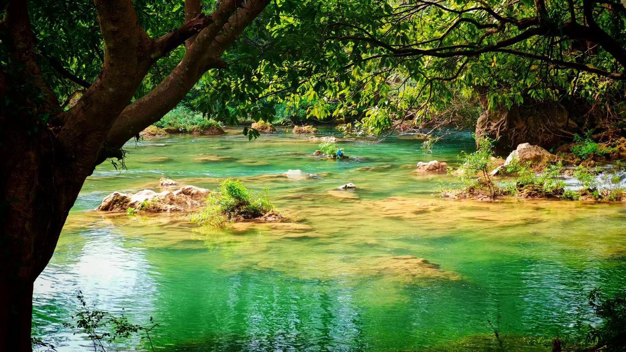 💚苔藓爬上石的脊背，而流水正抱着整片绿意私奔。
✨阳光穿过叶隙落进水里，每道波