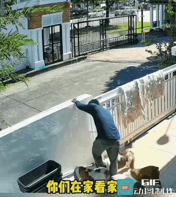 这也太好笑了！男子想出门一趟也太难了，门不敢开就算了，连翻墙都被拦着不让爬。
 