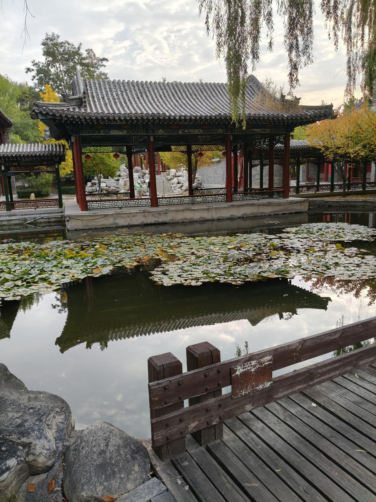 分享一下你随手拍下的照片