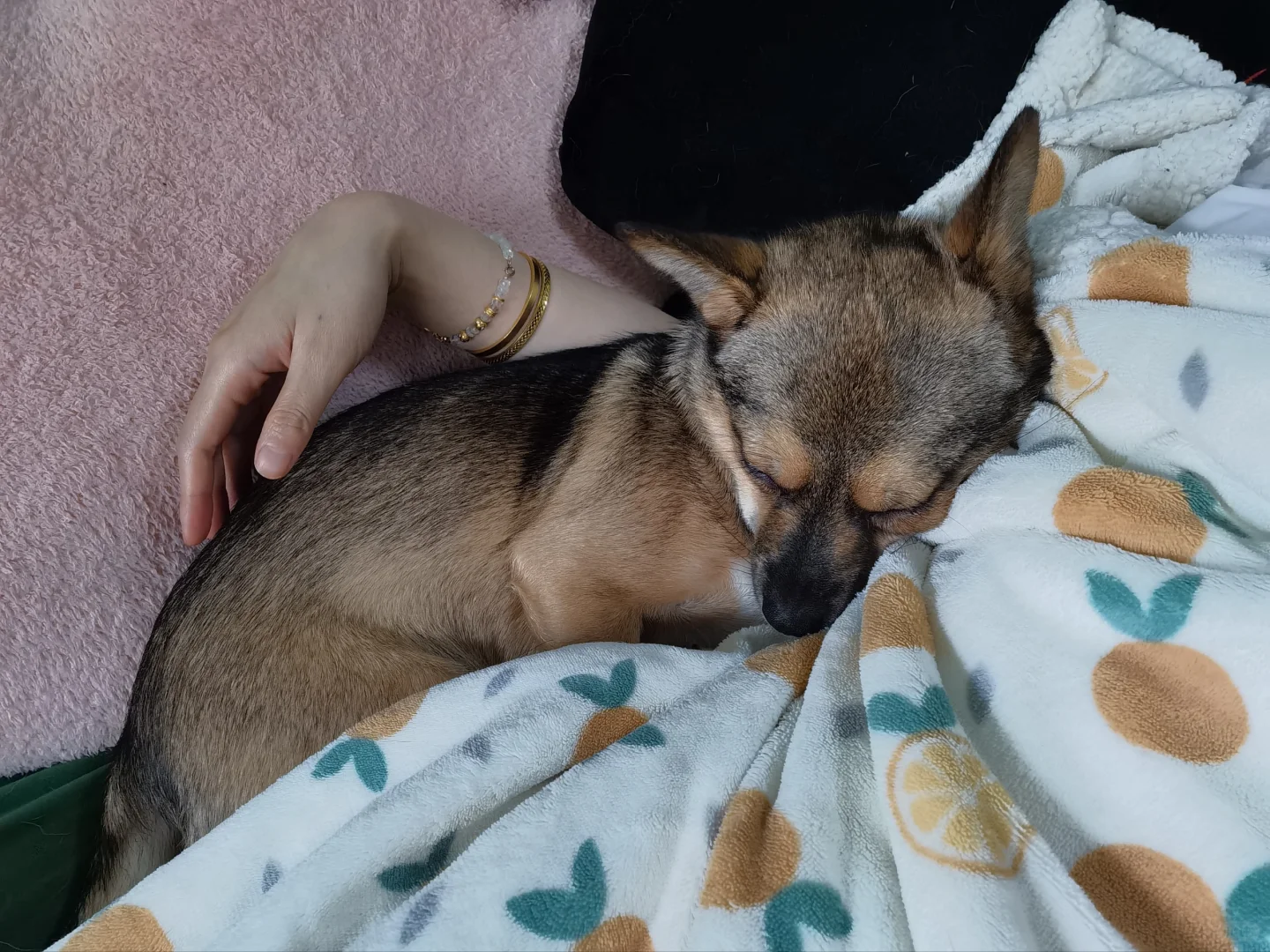 十八岁成年，我还要在妈咪酱怀里睡十七年